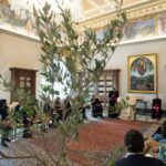 Papa Francesco e il Creato